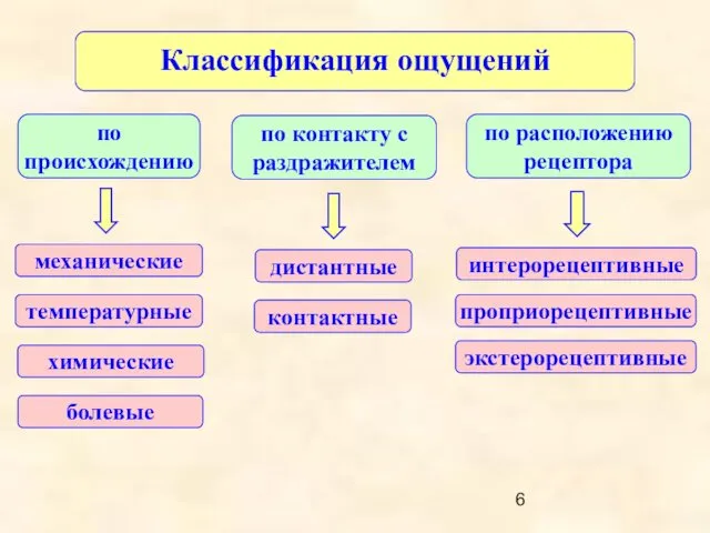 Классификация ощущений по происхождению по контакту с раздражителем по расположению