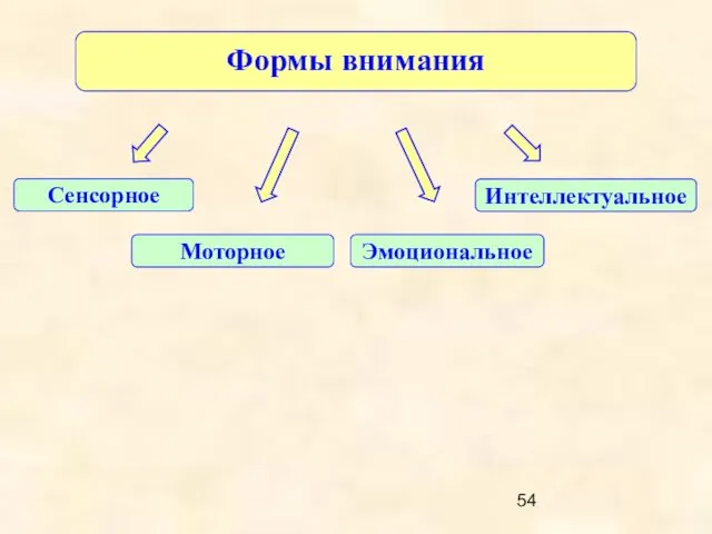 Формы внимания Интеллектуальное Сенсорное Моторное Эмоциональное