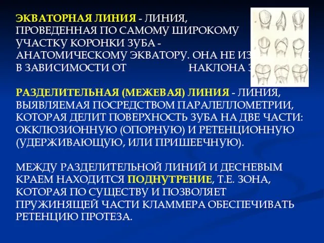 ЭКВАТОРНАЯ ЛИНИЯ - ЛИНИЯ, ПРОВЕДЕННАЯ ПО САМОМУ ШИРОКОМУ УЧАСТКУ КОРОНКИ