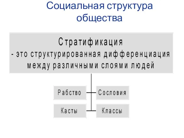 Социальная структура общества