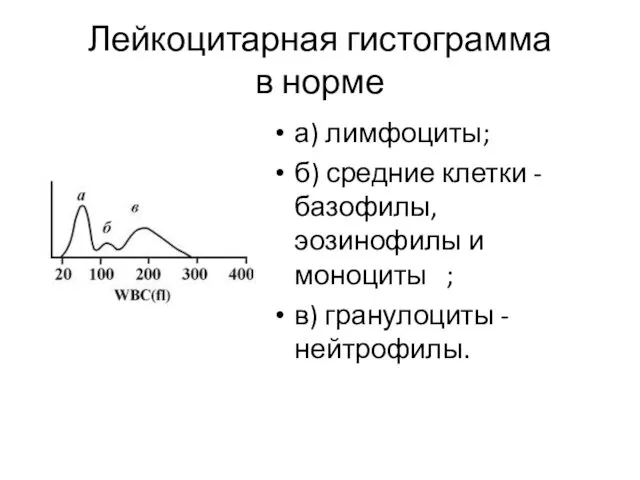 Лейкоцитарная гистограмма в норме а) лимфоциты; б) средние клетки -