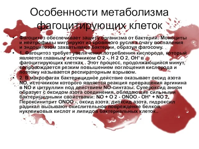 Особенности метаболизма фагоцитирующих клеток Фагоцитоз обеспечивает защиту организма от бактерий.