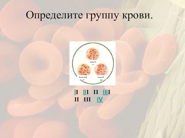 Определите группу крови. II III II IIII II III IV Анти-А Анти-В Анти-АВ