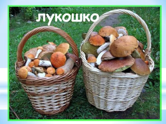 лукошко