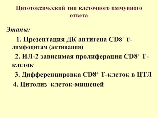 Цитотоксический тип клеточного иммунного ответа Этапы: 1. Презентация ДК антигена