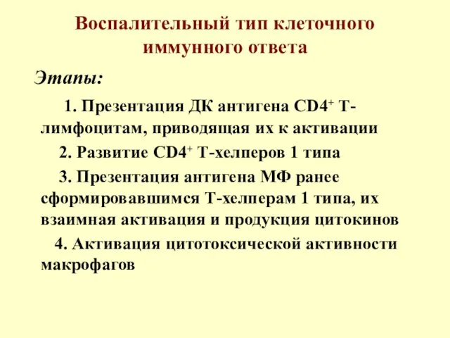 Воспалительный тип клеточного иммунного ответа Этапы: 1. Презентация ДК антигена