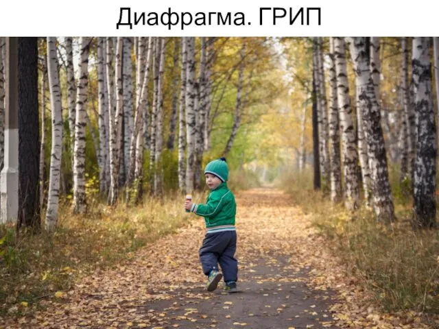 Диафрагма. ГРИП