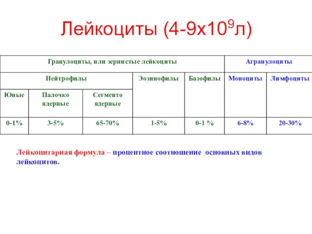 Лейкоциты (4-9х109л) Лейкоцитарная формула – процентное соотношение основных видов лейкоцитов.