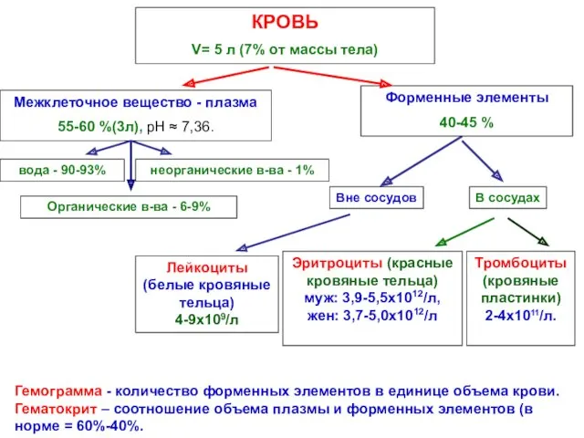 Гемограмма - количество форменных элементов в единице объема крови. Гематокрит