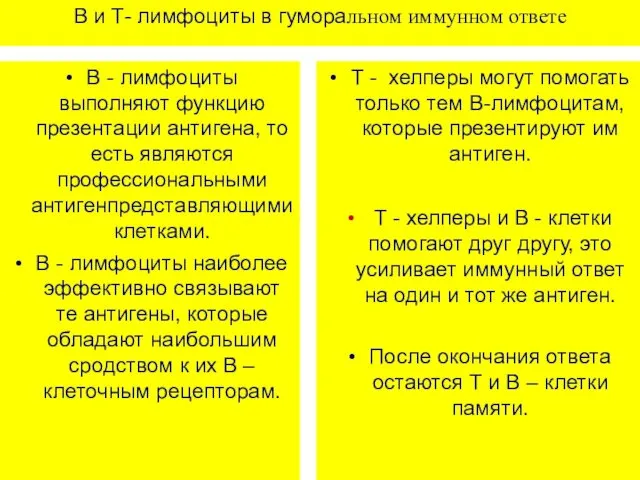 В и Т- лимфоциты в гуморальном иммунном ответе B - лимфоциты выполняют функцию