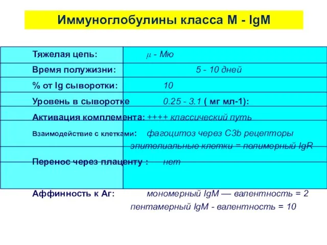 Иммуноглобулины класса М - IgM Тяжелая цепь: μ - Mю Время полужизни: 5