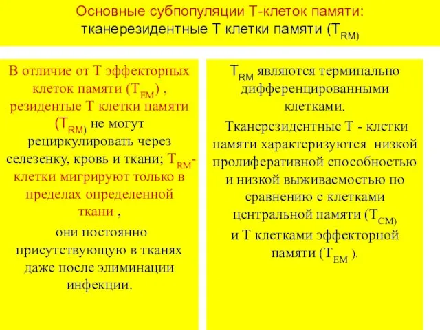 Основные субпопуляции Т-клеток памяти: тканерезидентные Т клетки памяти (ТRМ) В