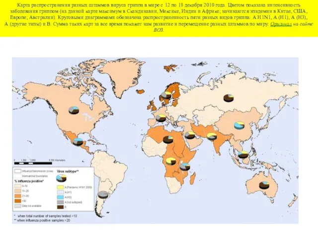 Карта распространения разных штаммов вируса гриппа в мире с 12 по 18 декабря