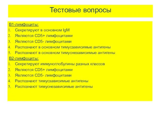 Тестовые вопросы В1-лимфоциты: Секретируют в основном IgM Являются CD5+ лимфоцитами