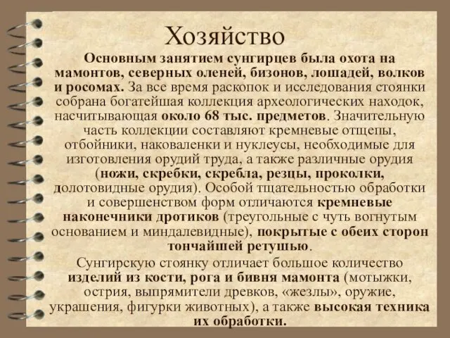 Хозяйство Основным занятием сунгирцев была охота на мамонтов, северных оленей,