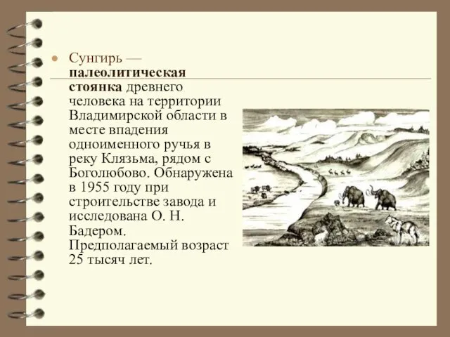 Сунгирь — палеолитическая стоянка древнего человека на территории Владимирской области