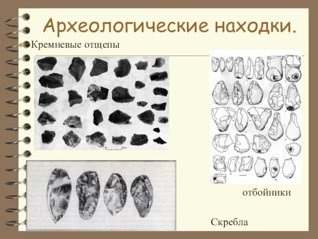 Археологические находки. Кремневые отщепы отбойники Скребла