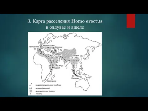 3. Карта расселения Homo erectus в олдувае и ашеле