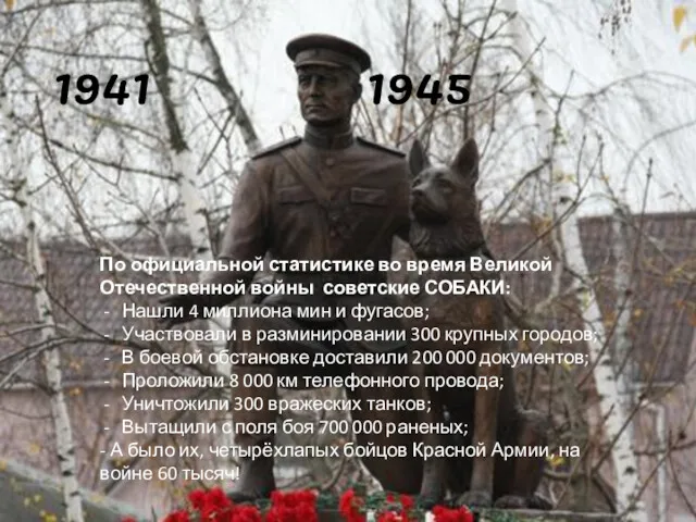 По официальной статистике во время Великой Отечественной войны советские СОБАКИ: