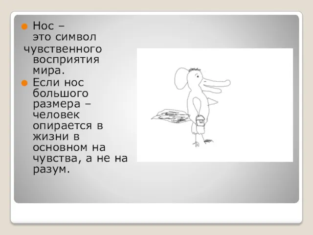 Нос – это символ чувственного восприятия мира. Если нос большого