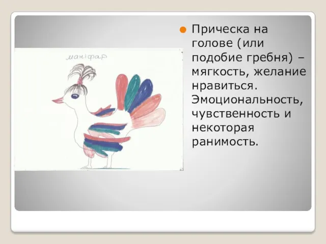 Прическа на голове (или подобие гребня) – мягкость, желание нравиться. Эмоциональность, чувственность и некоторая ранимость.