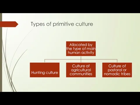 Types of primitive culture