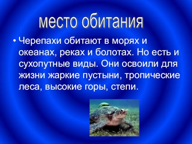 Черепахи обитают в морях и океанах, реках и болотах. Но
