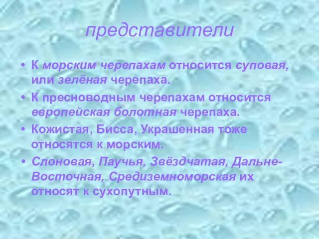 представители К морским черепахам относится суповая, или зелёная черепаха. К