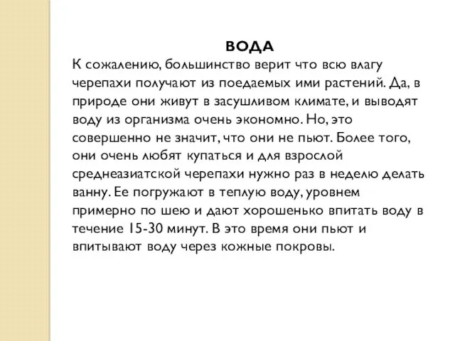 ВОДА К сожалению, большинство верит что всю влагу черепахи получают