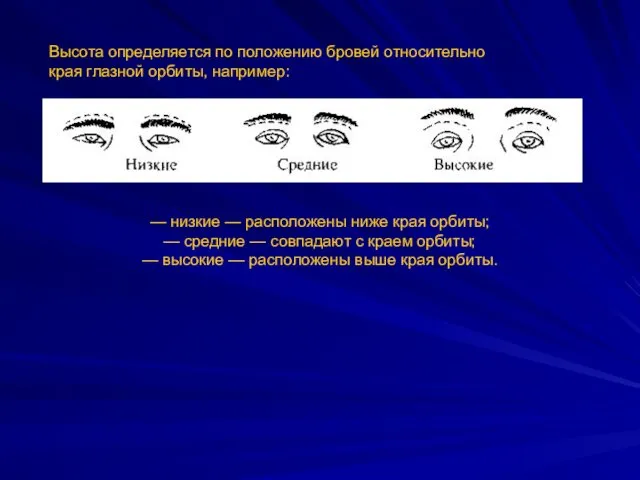 Высота определяется по положению бровей относительно края глазной орбиты, например: