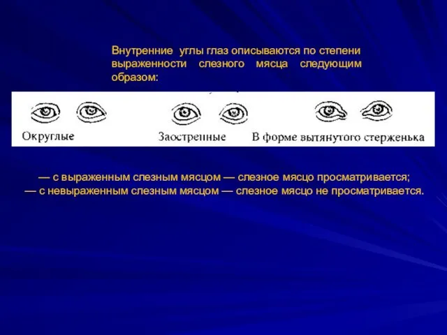 Внутренние углы глаз описываются по степени выраженности слезного мясца следующим