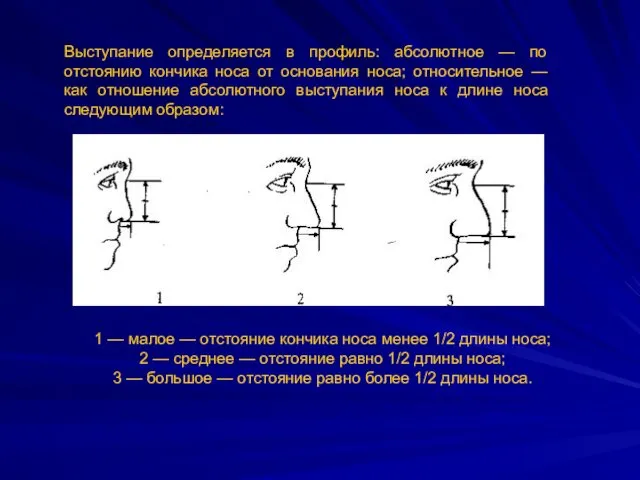 Выступание определяется в профиль: абсолютное — по отстоянию кончика носа