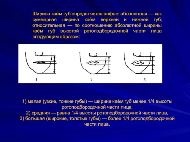 Ширина каём губ определяется анфас: абсолютная — как суммарная ширина