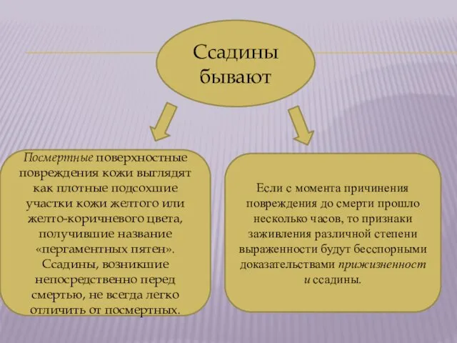 Ссадины бывают Посмертные поверхностные повреждения кожи выглядят как плотные подсохшие