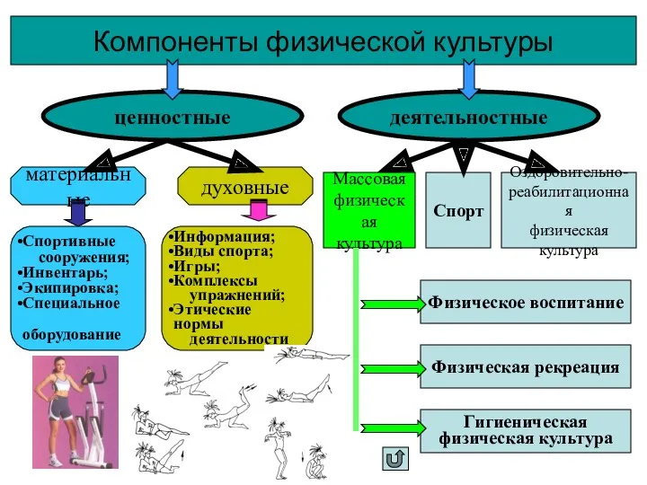 Компоненты физической культуры ценностные деятельностные материальные духовные Спортивные сооружения; Инвентарь;