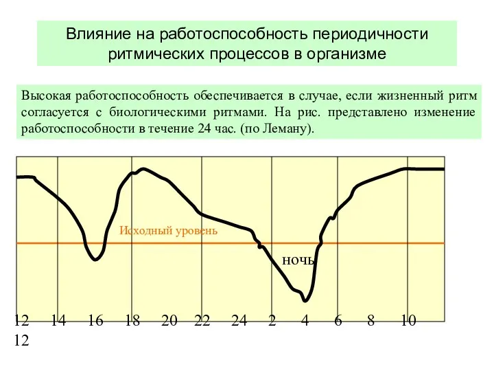 Влияние на работоспособность периодичности ритмических процессов в организме ночь 12