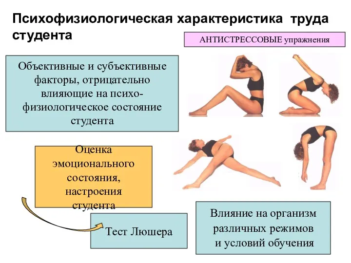 Психофизиологическая характеристика труда студента Объективные и субъективные факторы, отрицательно влияющие