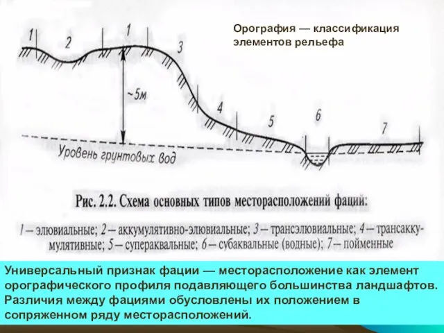 Универсальный признак фации — месторасположение как элемент орографического профиля подавляющего