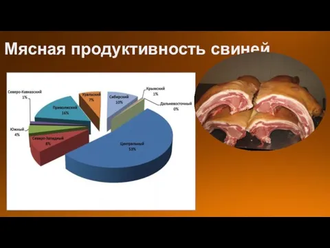 Мясная продуктивность свиней