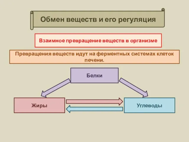 Обмен веществ и его регуляция Взаимное превращение веществ в организме