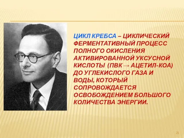 ЦИКЛ КРЕБСА – ЦИКЛИЧЕСКИЙ ФЕРМЕНТАТИВНЫЙ ПРОЦЕСС ПОЛНОГО ОКИСЛЕНИЯ АКТИВИРОВАННОЙ УКСУСНОЙ