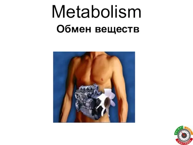 Metabolism Обмен веществ