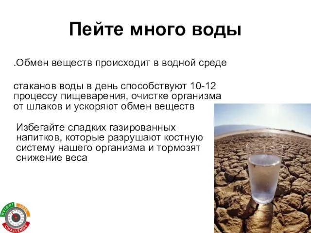 Пейте много воды Обмен веществ происходит в водной среде. 10-12