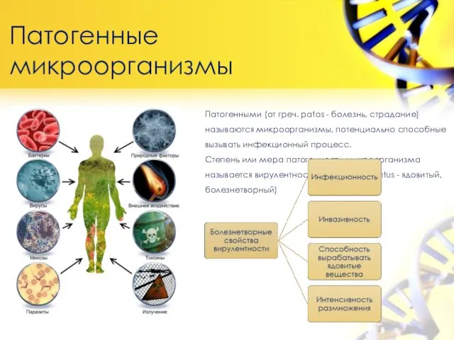 Патогенные микроорганизмы Патогенными (от греч. patos - болезнь, страдание) называются