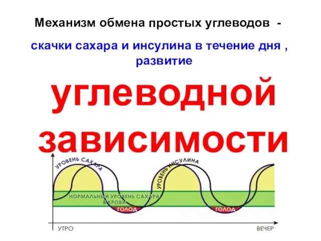 Механизм обмена простых углеводов - скачки сахара и инсулина в течение дня , развитие углеводной зависимости