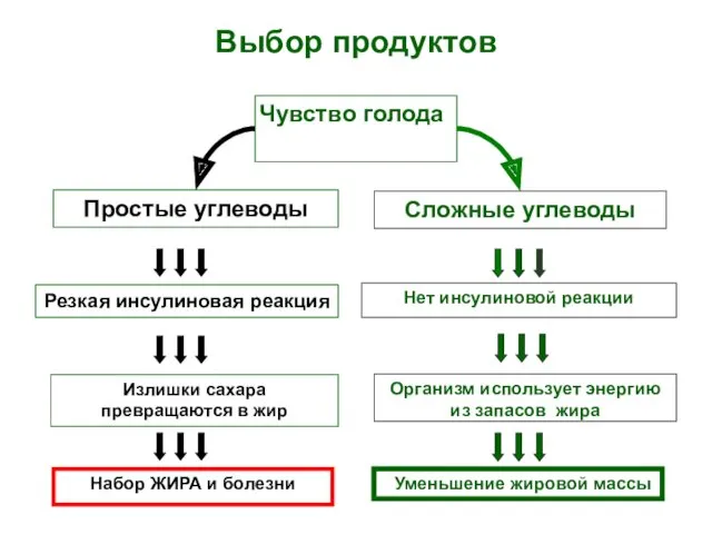 Чувство голода Выбор продуктов Простые углеводы Организм использует энергию из