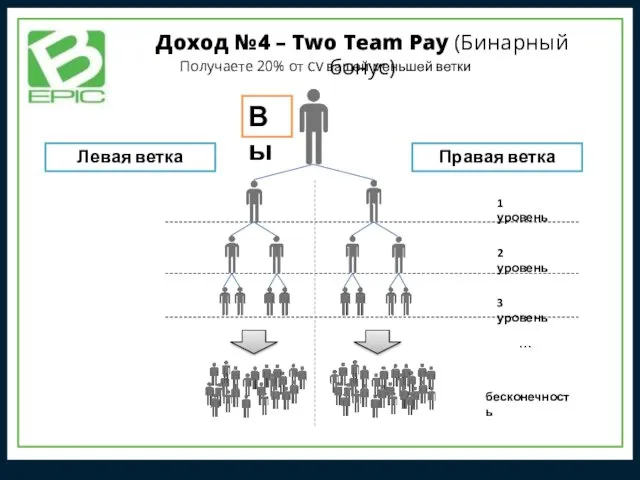 Получаете 20% от CV вашей меньшей ветки Вы Левая ветка