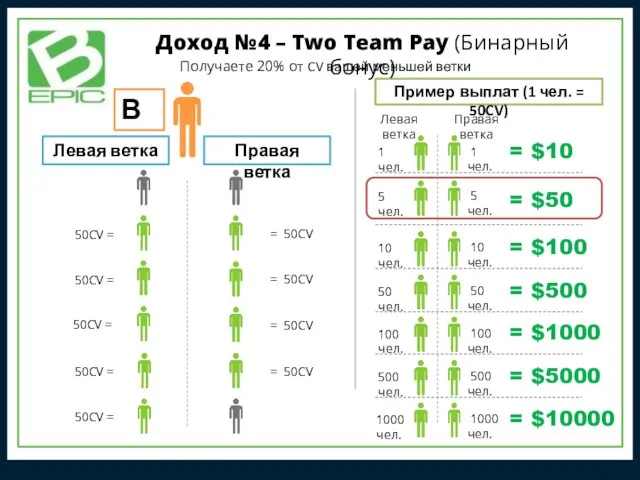 Получаете 20% от CV вашей меньшей ветки Вы Левая ветка