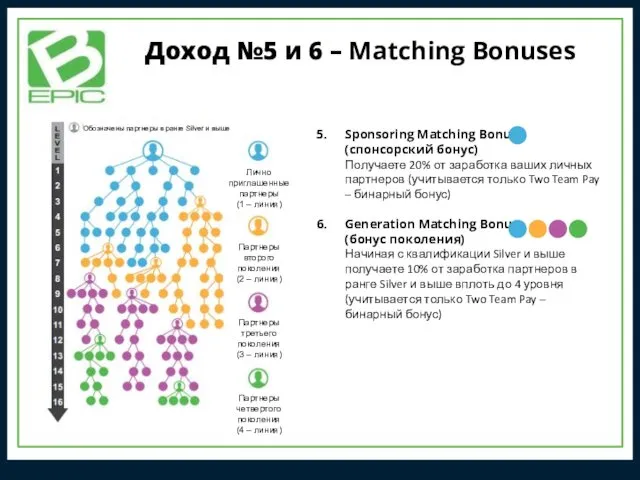 Доход №5 и 6 – Matching Bonuses Sponsoring Matching Bonus