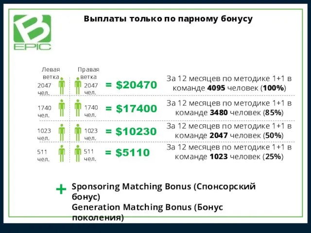 Выплаты только по парному бонусу 2047 чел. 2047 чел. =